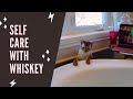 Self care with Whiskey!