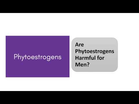 Are Phytoestrogens Harmful for Men