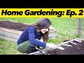 How to Start Seeds | Home Gardening: Ep. 2