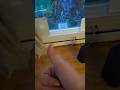 no way
