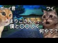 【猫ミーム】推しのボーイ君に〇〇された話＃猫マニ＃猫ミーム
