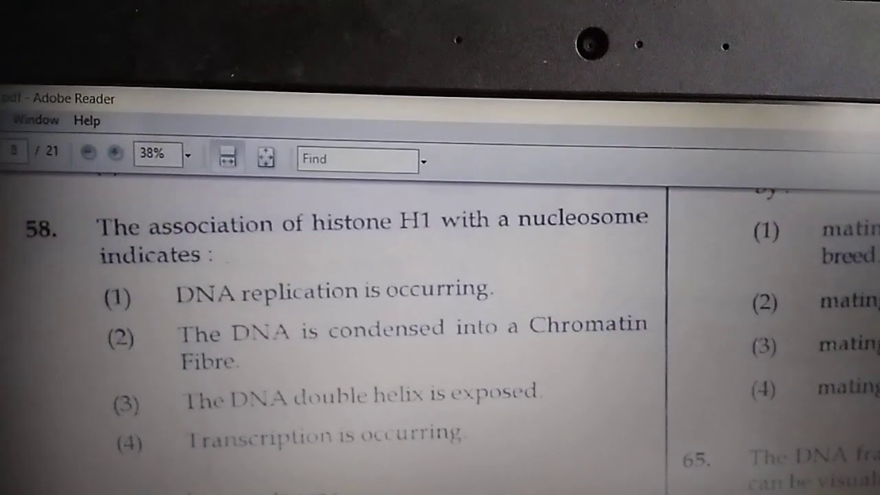 NEET 2018 Code b Q58