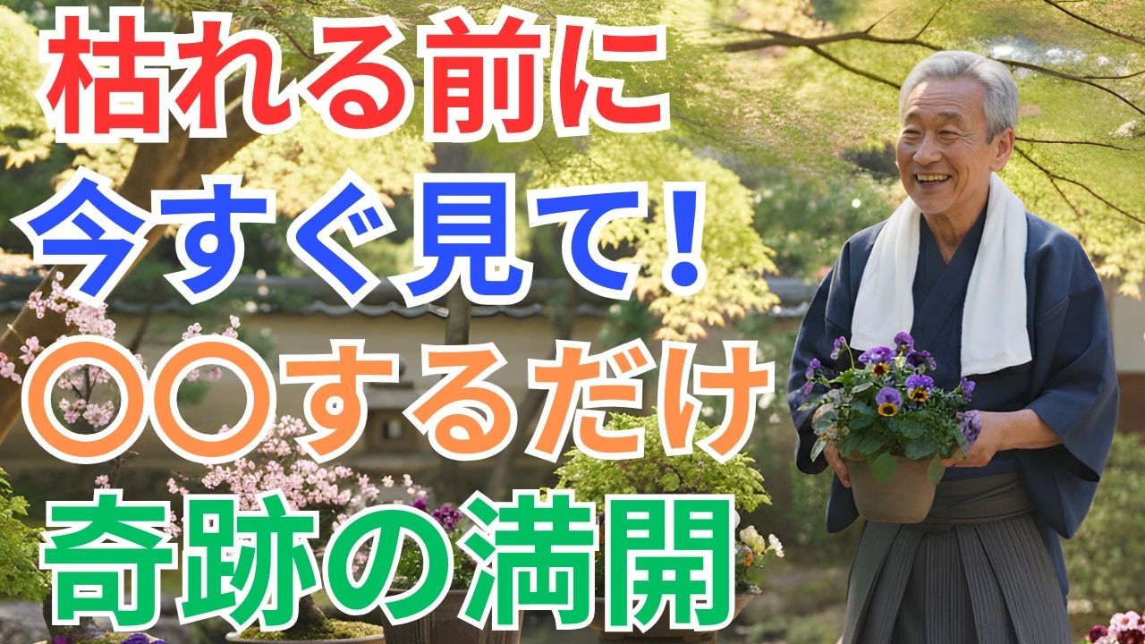 【絶対失敗しない】今すぐやって！これだけで冬の花が信じられないほど蘇る【初心者】【草花】【裏技】
