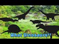 DingDongTV New Dinosaurs| 산퉁고사우루스+5종류 공룡 알아보기| Dinosaur Game| dinosaur study| 공룡퍼즐게임| 새로운 공룡 알아보기