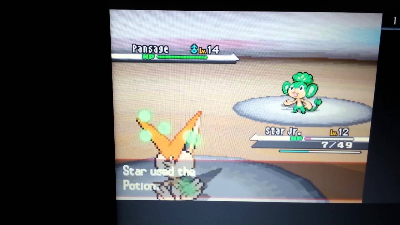 Victini Only Run : Gym Leader Cilan