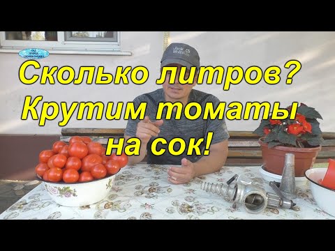 Сколько томатного сока получится из 5 кг. томатов? Сколько томатного сока получится из 5 кг. томатов?