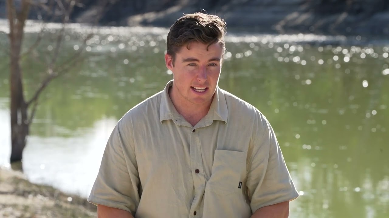 Menindee Fish Kill Day 2   March 18th 2023