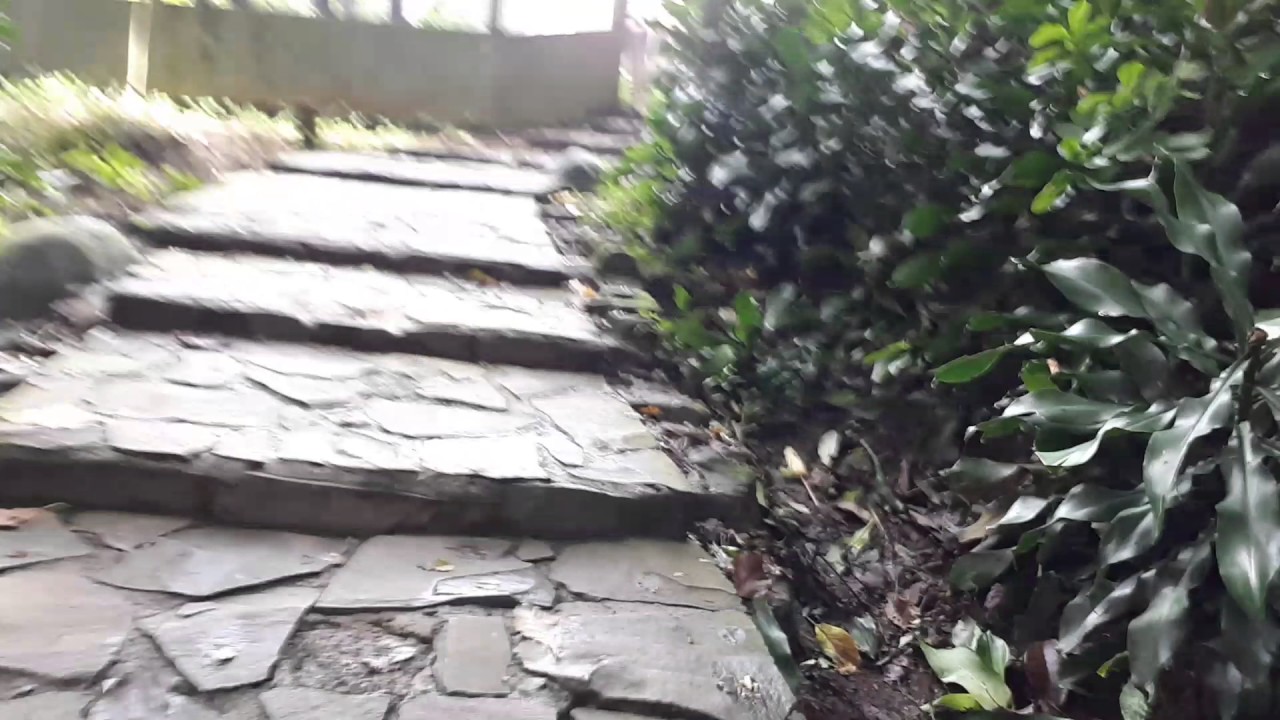 Taman Hutan Raya Tahura Ir H Juanda Dago Pakar Bandung