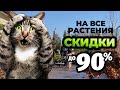 Открытие финальной распродажи в Ромашкино Парк