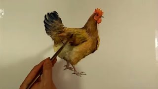 Watercolor Animals Painting :  Hen Chicken ̣ Paint