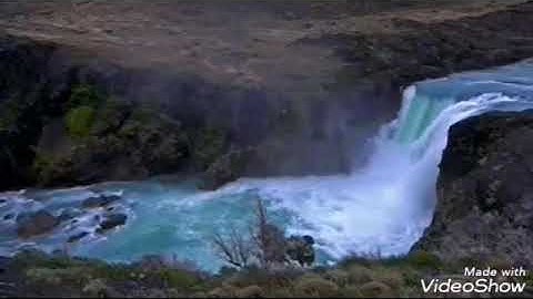 سورة الماعون الشيخ محمد المحيسني