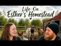 Esther's Homestead: From City Life, To Farm Life.