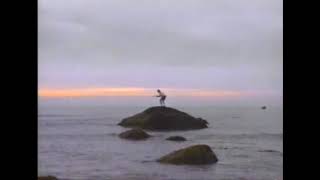 devil sticks / juggling sticks jam filmed on the vineyard