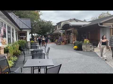 Amish Country Farmers