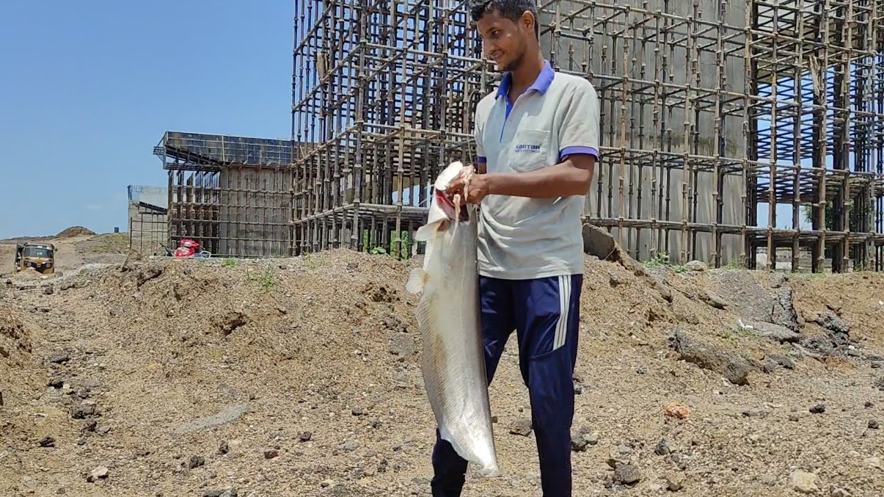 Basara Godavari fishing videos Big fish 🐟 - YouTube