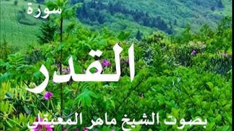 سورة القدر بصوت الشيخ / ماهر المعيقلي 97