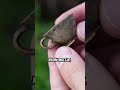 Wat een super leuk kopje! #metaldetecting #ytshorts #youtubeshorts #viral #trending #shorts