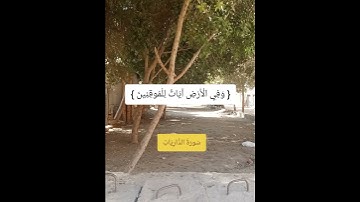 أن المتقين في جنات وعيون سوره الذاريات #الله #اللهم_صل_وسلم_على_نبينا_محمد #الحمدلله