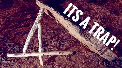 Making a Figure 4 Deadfall Trap- Step By Step Primitive Trapping