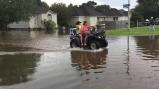 Our Neighborhood Flooded! -Day 1