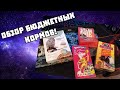 ОБЗОР КОРМОВ ДЛЯ КРЫС И МЫШЕЙ!