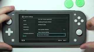 Nintendo Switch Lite How To Enable & Disable Auto Updates screenshot 5