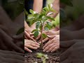 एक पौधा, पूरी ज़िंदगी! 🌱 | Plant Motivation Short