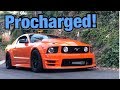 The Worst Mustang To Daily Drive!!! (Car Review)