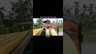 Hitchiking in Assam | Northeast india