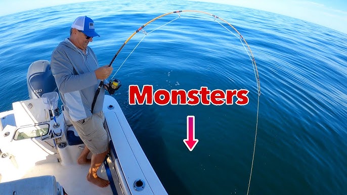 3 REASONS why we use this fishing rod! 