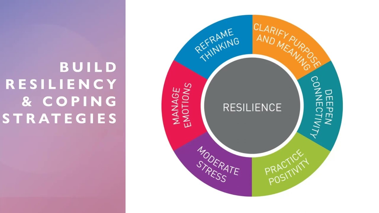 Establish Healthy Habits