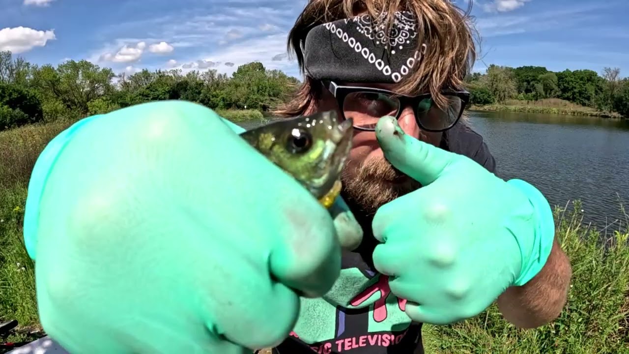 Glizzies & Bass (The Fisherman Pt. 2)| #fishing #bass #eages