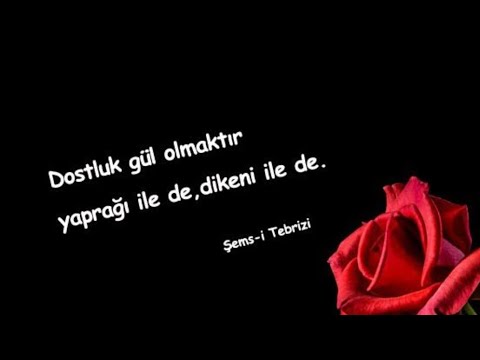 En Özel Sözler🌹Mutlaka Dinleyin...🌻 Aşırı Anlamlı Güzel Sözler🌹Muhteşem Sözler Videosu 🌻Çok Güzel...