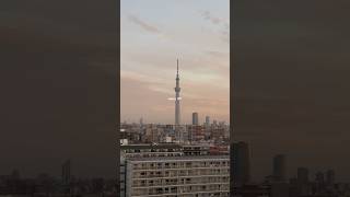 Living My Dream In Tokyo