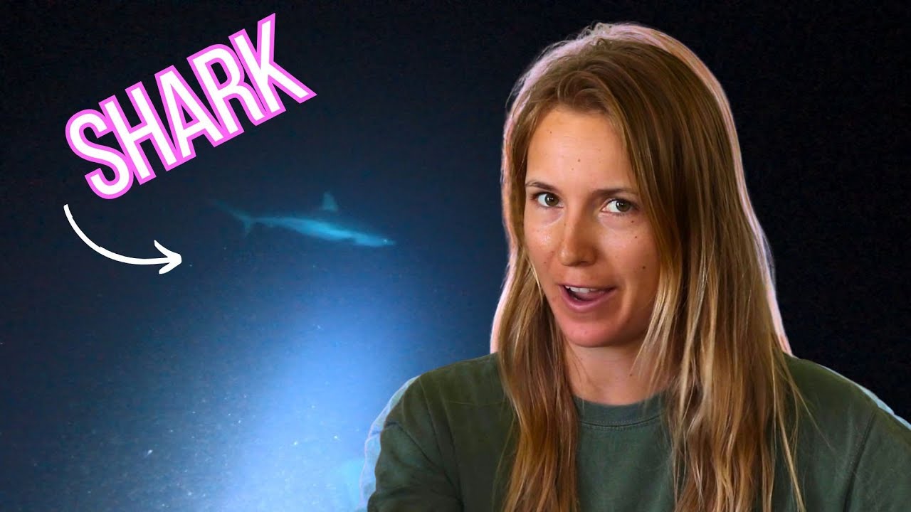 Is Scuba Diving at night Safe or Scary? YouTube