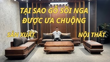 Tại Sao Gỗ Sồi Nga Lại Được Ưa Chuộng Trong Sản Xuất Nội Thất? | Nội Thất VM Homes