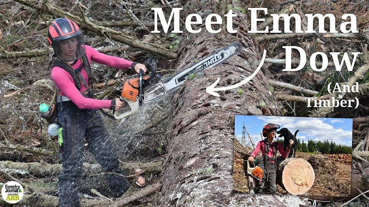 'It has saved my life': The handcutter who swapped art for the woods