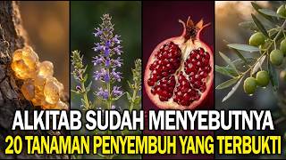 20 Tanaman dalam Alkitab yang Manfaat Kesehatannya Telah Dibuktikan oleh Ilmu Pengetahuan.