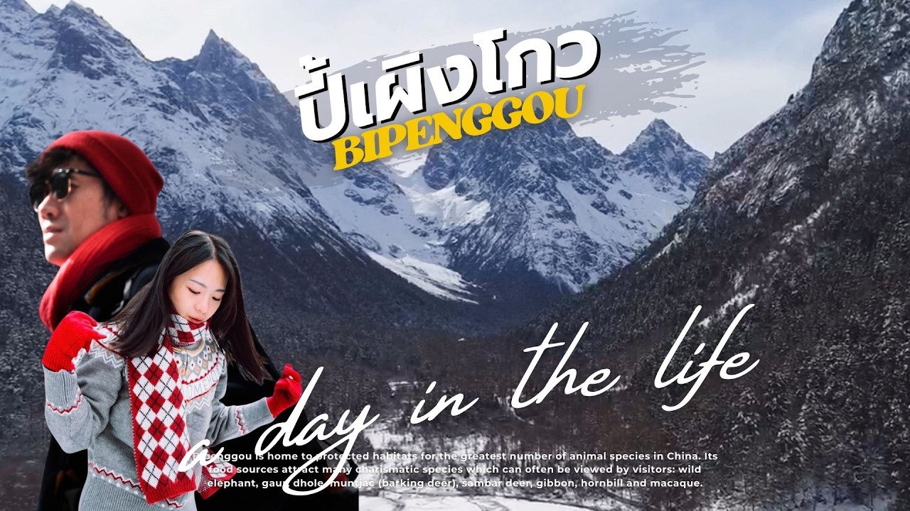 อุทยานปี้เผิงโกว (毕 棚 沟)–Bipenggou วิวอลังการแบบเต็มร้อยให้ล้าน ธรรมชาติหลากหลายฤดูหนาว ที่ประเทศจีน