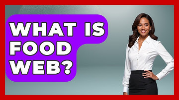 What Is Food Web? - Chasing Big Fish