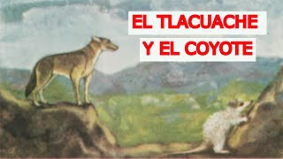 Fábula 'El tlacuache y el coyote'. AMENA FÁBULA INCLUIDA EN LOS LIBROS DE PRIMARIA MEXICANOS.