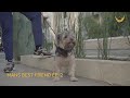 Man’s Best Friend Ep. 2 | Walter French