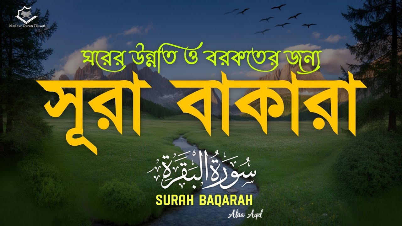 ঘরের বরকতের জন্য সূরা বাকারা (سورة البقرة)| Surah Baqarah | Powerful Quran Recitation | Alaa Aqel 