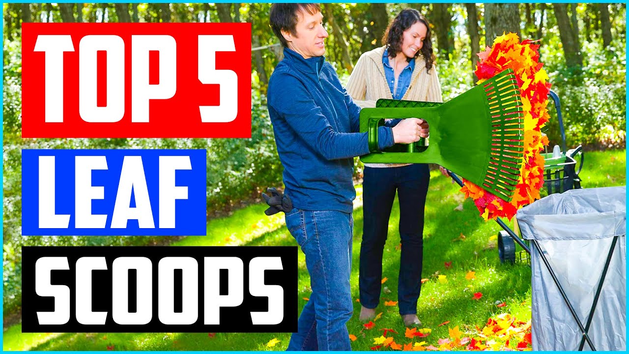 Top 5 Best Leaf Scoops in 2021 Reviews YouTube