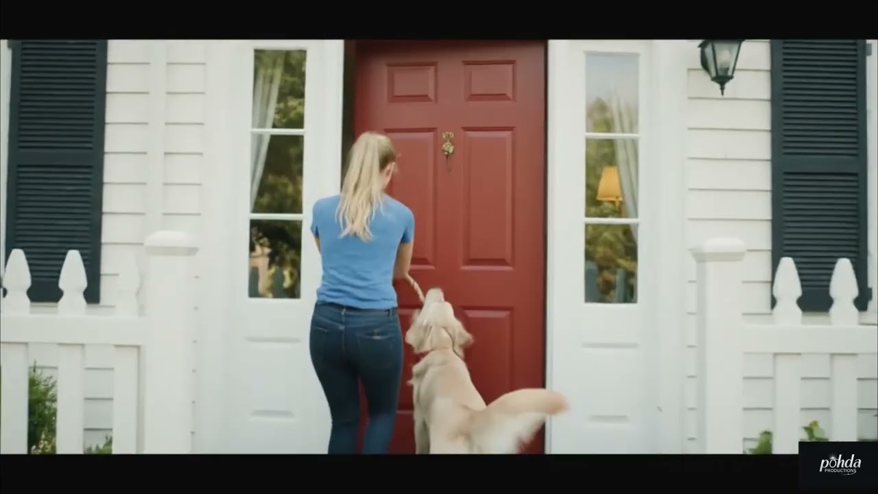 Dog still makes best friend. 