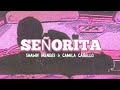 Shawn Mendes, Camila Cabello - Señorita [Lofi Remix]