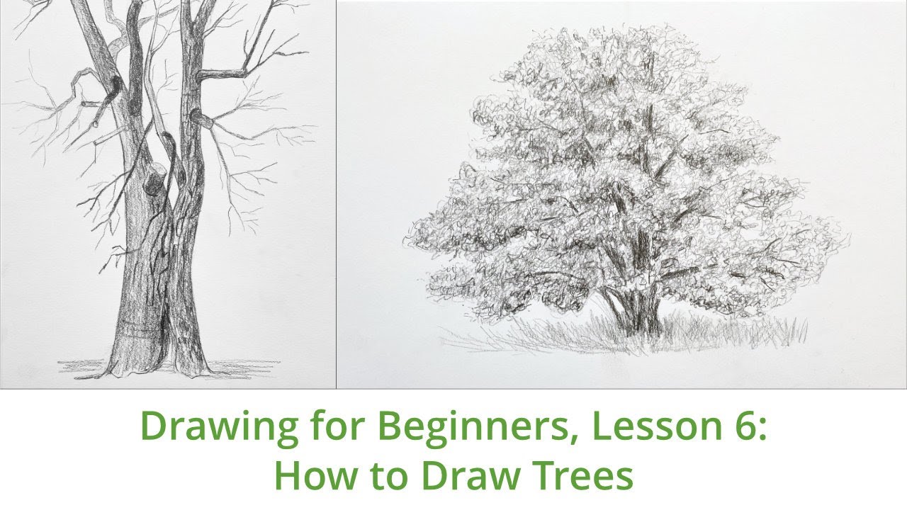 Drawing for Beginners, Lesson 6: How to draw trees - YouTube