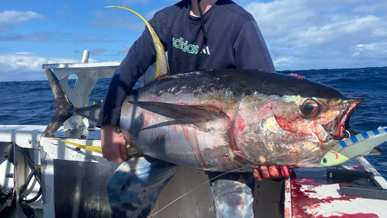 51.5kg yellowfin tuna off nsw asutralia YouTube