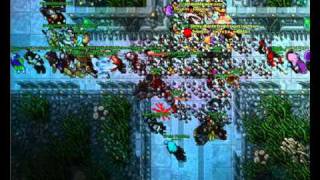 Lionet - 15 years tibia's anniversary