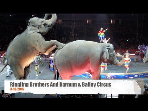 Ringling Bros And Barnum  Bailey Circus   With Elephants